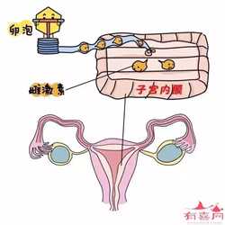 北京代孕对胎儿的影响_备孕抽烟了吃叶酸行吗