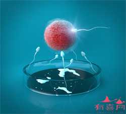 北京职业代孕_排卵期后排卵试纸测到弱阳代表什么 排卵期有何注意事项