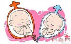 代孕网-代孕网费用-孕六个月胎动减少怎么回事