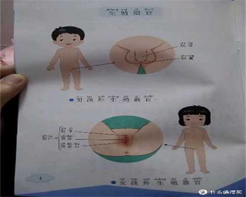 北京代孕公司龙凤胎多少钱_北京代孕助孕包成功