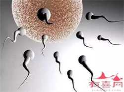 北京代孕微信号_北京代孕双胞胎的公司