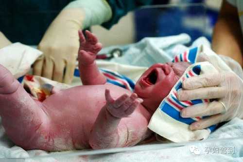 北京代孕生小孩需要多少钱_北京代孕小孩多少钱