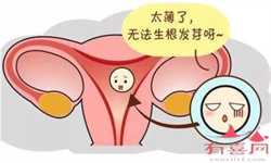 北京代孕公司龙凤胎多少钱_北京代孕付费方式