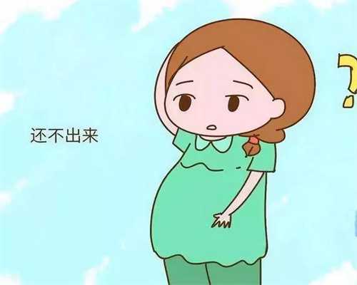 2022代孕价格表查询-北京代孕的多少钱_北京助孕试管婴儿中准妈妈该做怎么样的