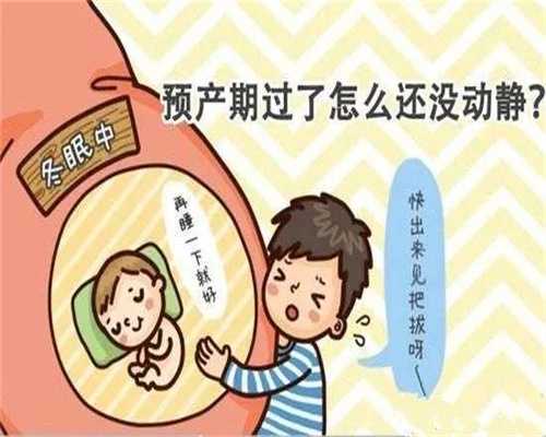 世纪最好助孕公司-北京三代试管供卵助孕费用_北京生殖医学中心 试管婴儿治疗